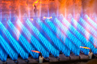 Llanaelhaearn gas fired boilers